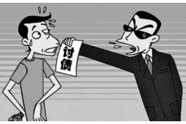 陇县债务清欠服务