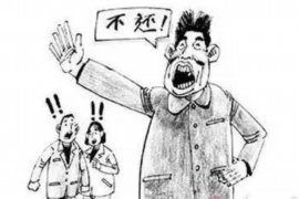 陇县贷款清欠服务